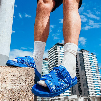 Bandanna DracoSlides