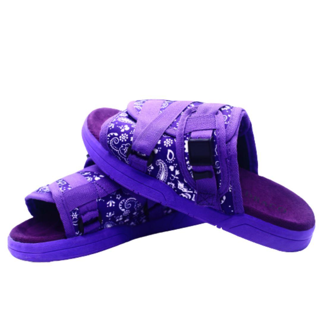 Bandanna DracoSlides