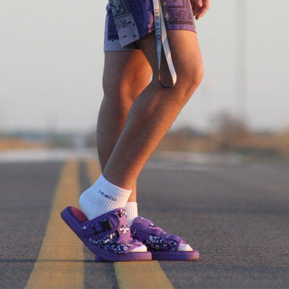 Bandanna DracoSlides