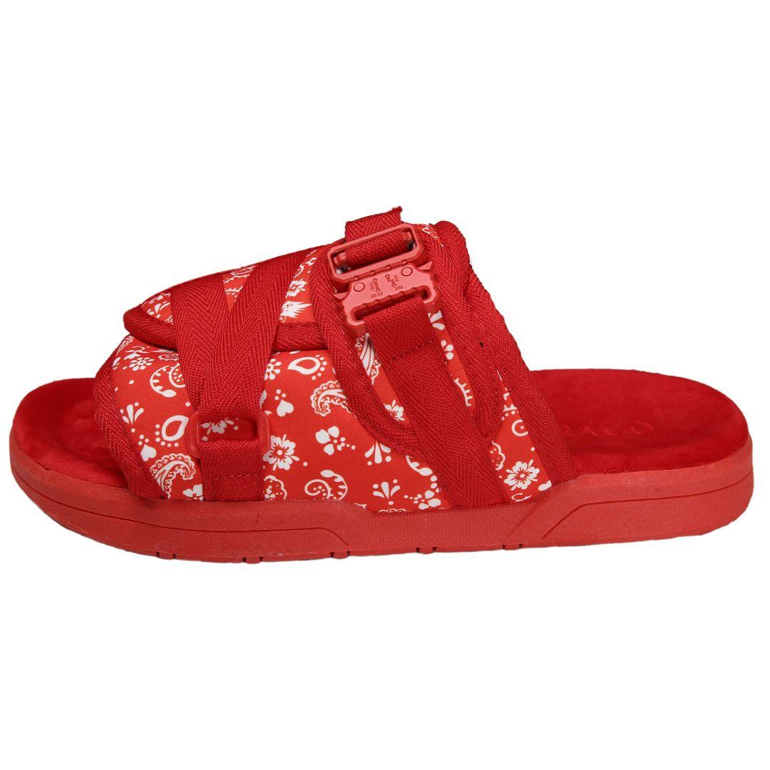 Bandanna DracoSlides